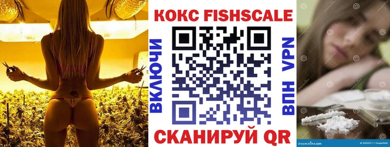 Cocaine 97%  кракен зеркало  Новосибирск  как найти закладки 