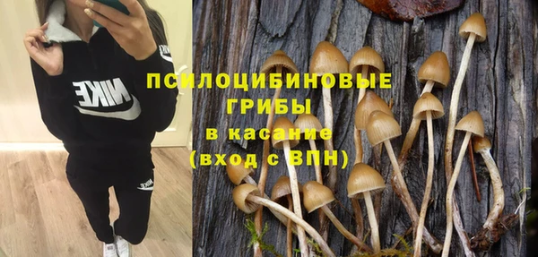 гашик Верхний Тагил