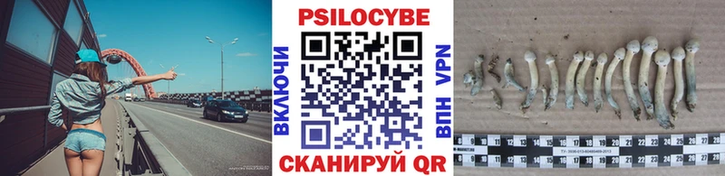 Галлюциногенные грибы мухоморы  Новосибирск 